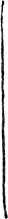 vitrine-strich